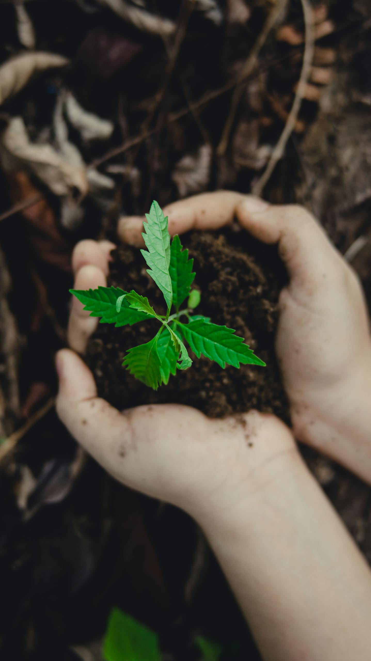 Ecotri Solution Sàrl - Recyclage tri